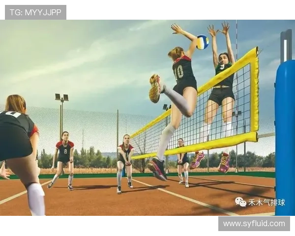 北京排球队的训练与比赛状态全景揭秘助力排球巨献的背后故事