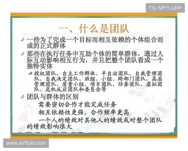 北京排球队在联赛中的团队协作表现分析与展望