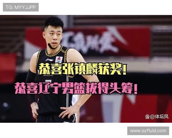 深圳篮球队总决赛技术分析与表现评估全面解读 深圳篮球队总决赛技术分析与表现评估全面解读