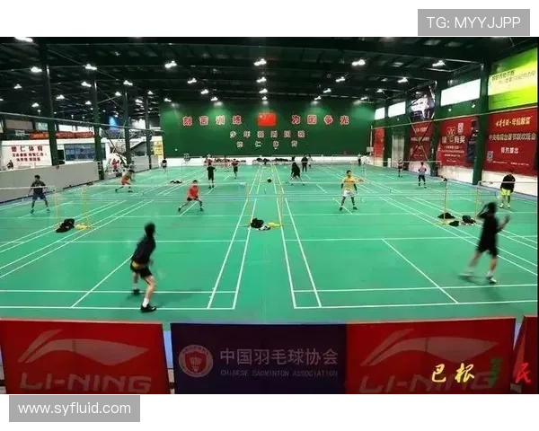 深圳羽毛球队的速度与激情探讨聚焦羽毛球运动的未来发展与挑战 深圳羽毛球队的速度与激情探讨聚焦羽毛球运动的未来发展与挑战