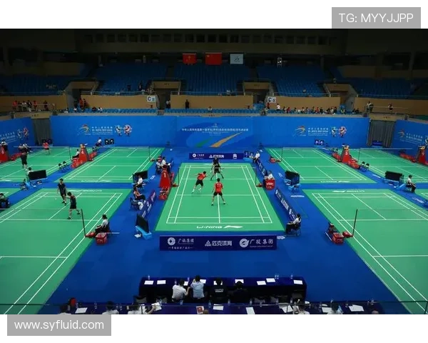 武汉羽毛球队全运会技术表现分析与未来发展展望